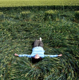 In a crop circle